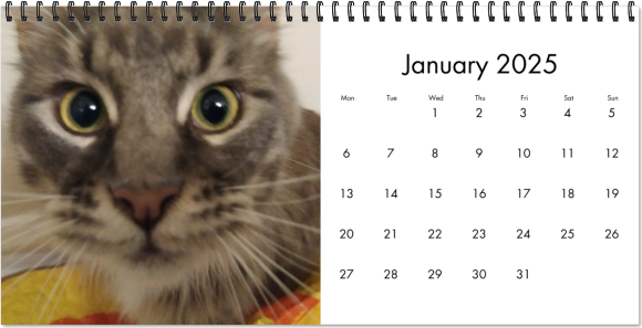 Calendar